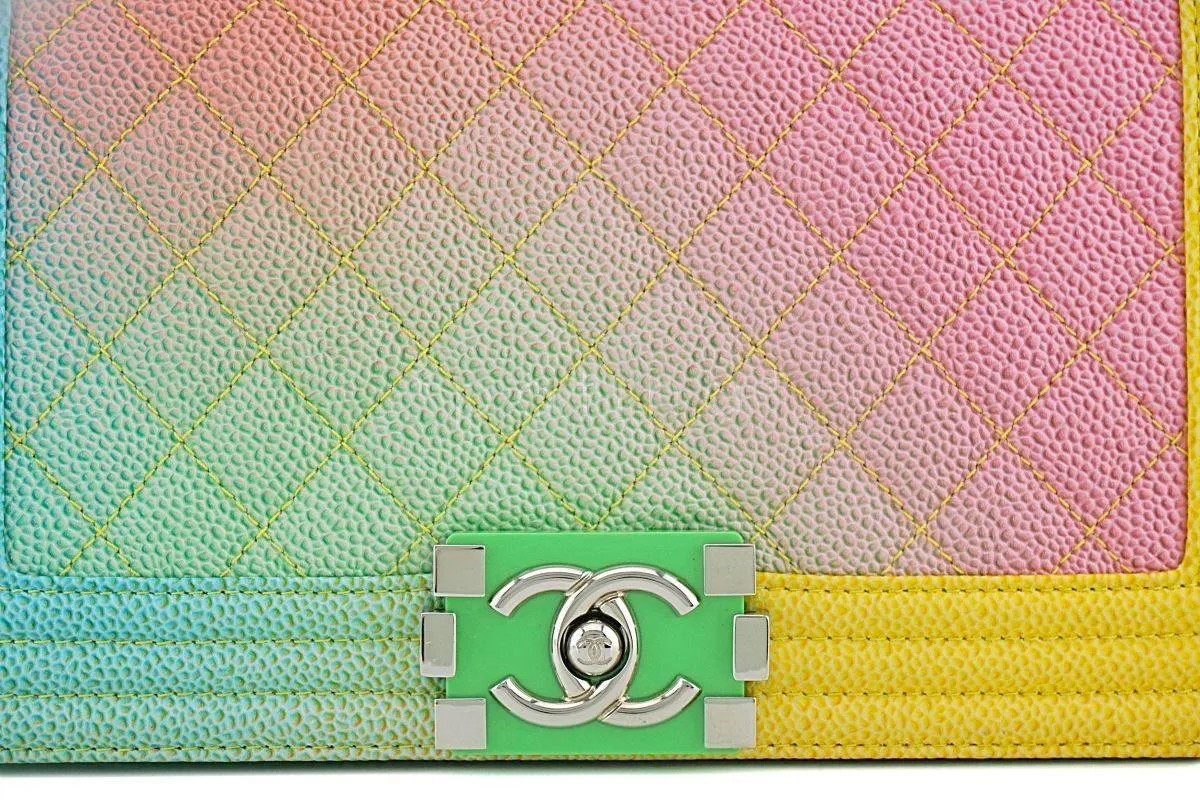 17C Chanel Rainbow Caviar Medium Classic Boy Flap Bag SHW