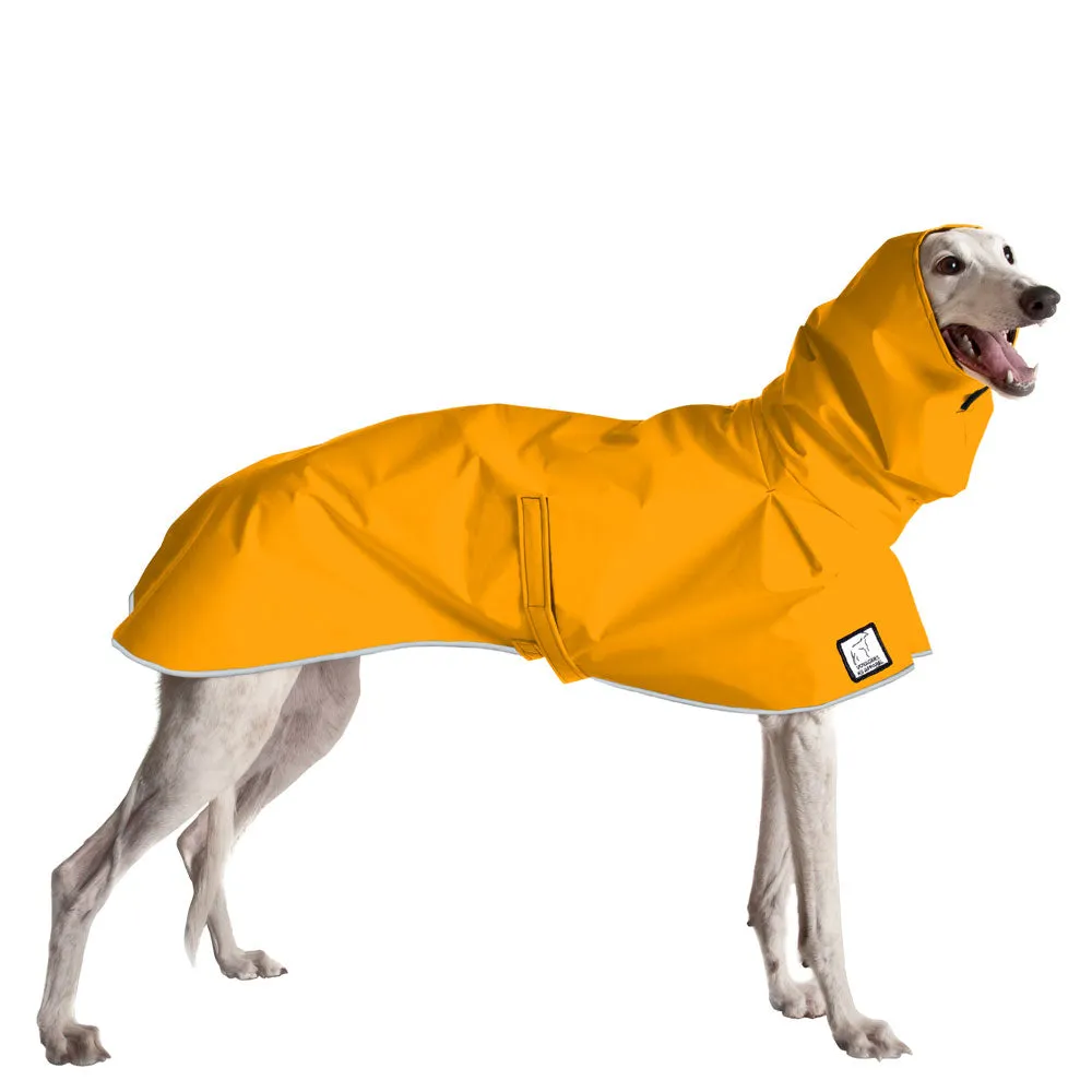 Greyhound Raincoat