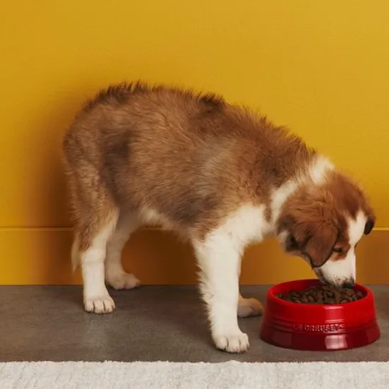 Le Creuset Stoneware Pet Bowl