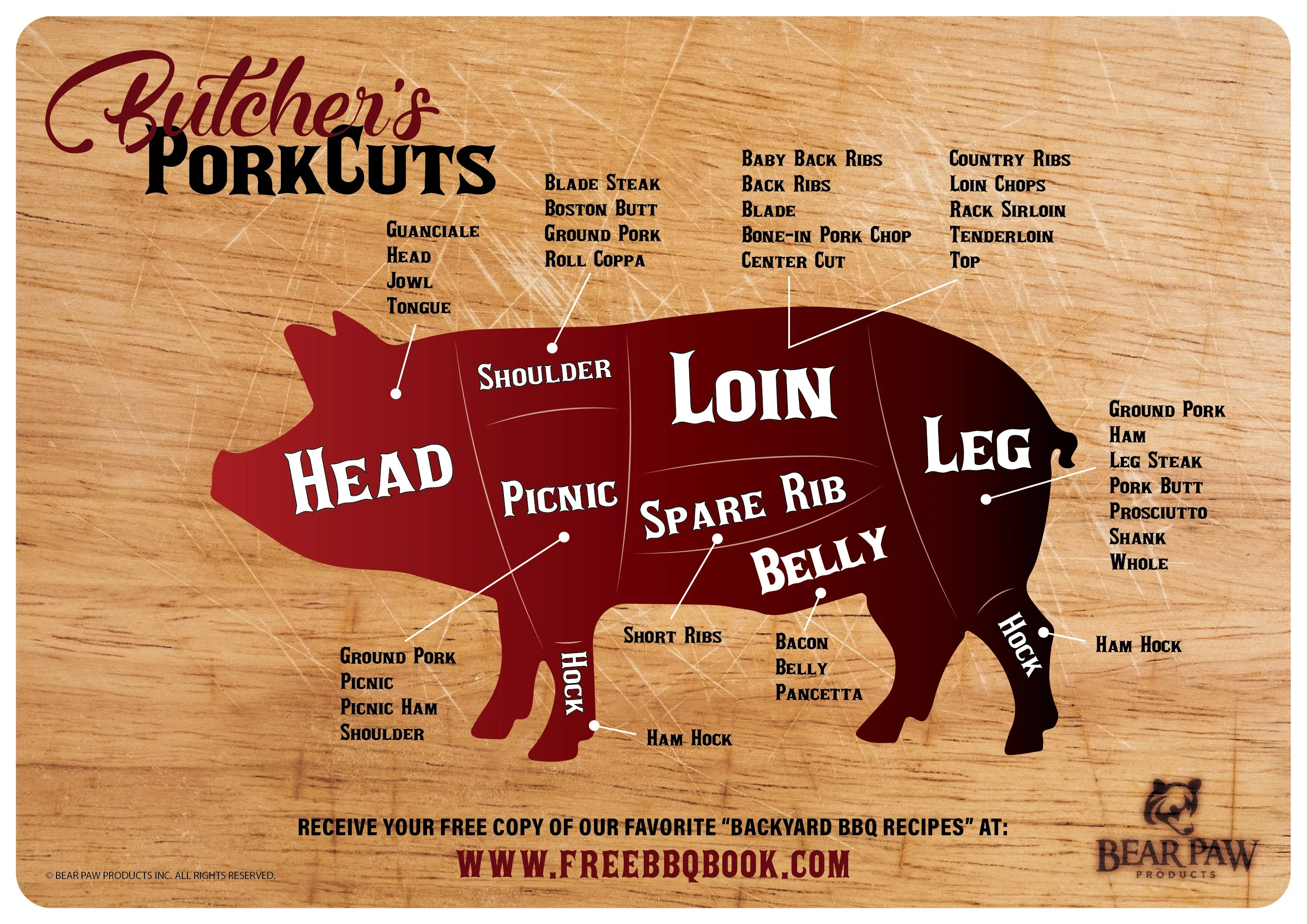 Meat Cuts Magnet - Pork