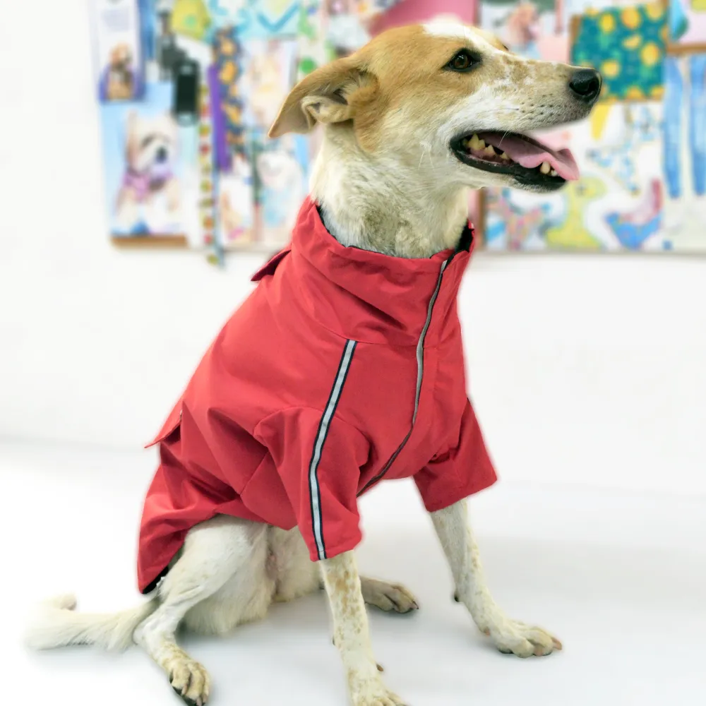 Pets Way TPU Cloud Raincoat for Dogs (Cherry)