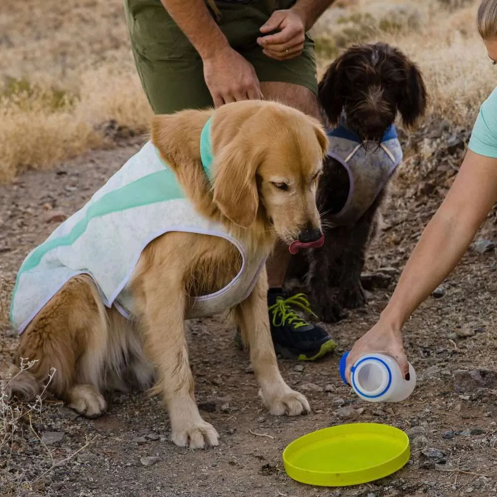 Ruffwear Swamp Cooler Reflective Cooling Dog Vest (Sage Green)