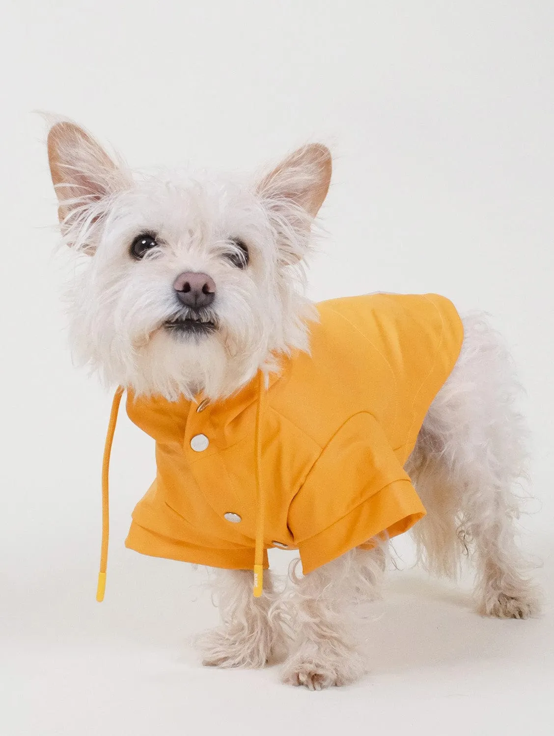 Waterproof Recycled PU Dog Raincoat | Orange